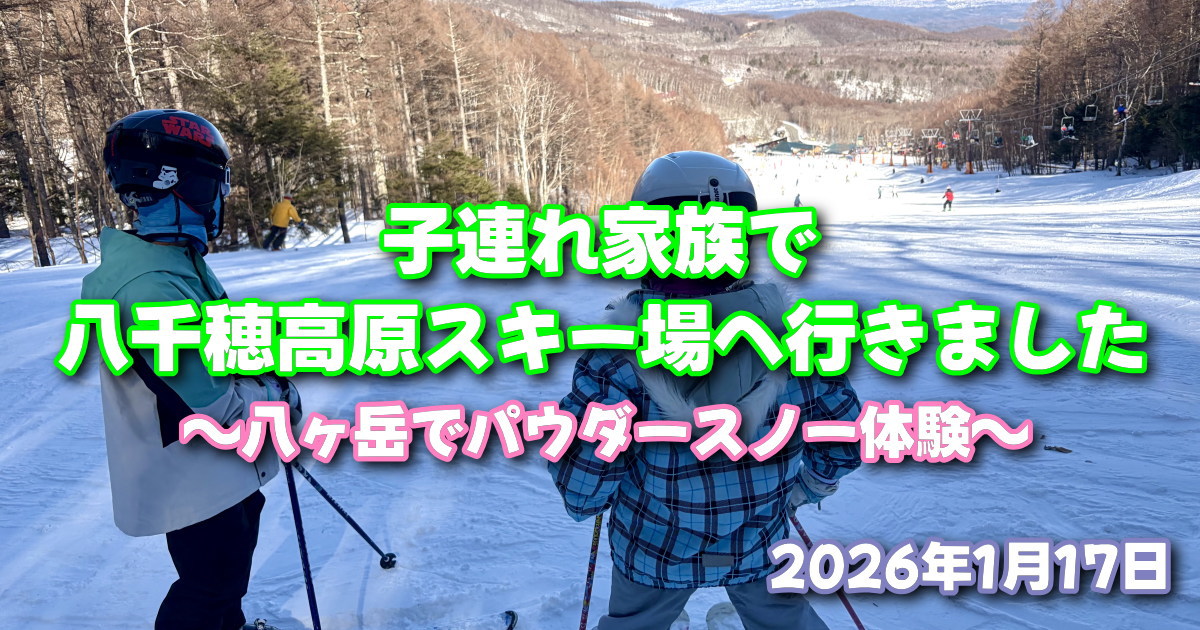 2025-27 八千穂高原スキー場大人全日1日リフト引換券4枚セット 子連れ 